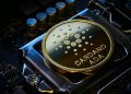 Solana and Cardano: Cardano loses ground below 0.480 level