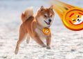 Dogecoin and Shiba Inu: Dogecoin bounced back to EMA200
