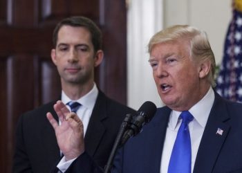 Potential Trump running mate Tom Cotton took hard look at 2024 run, but being a father came first