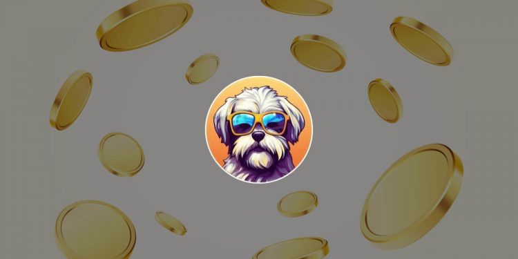 Hava Coin – Where to Buy It and How Much It Will Be Worth?