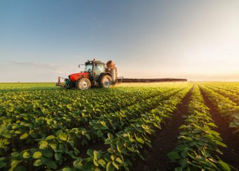 Sizzling Summer Commodities: What’s Hot in 2024?