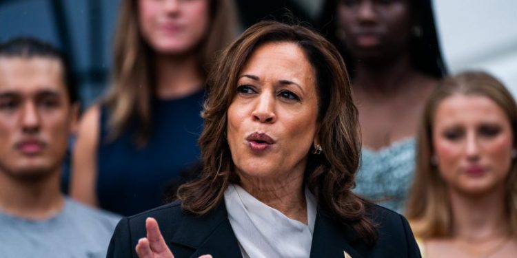 After Biden’s exit, Zoom led by Black women mobilized 44,000 for Harris