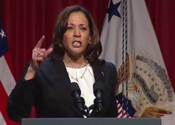 Harris campaign dismisses critics of ‘segregation’ fundraising effort