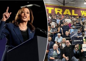 Dem voters at Milwaukee rally say they’re fired up for Harris: ‘United and energized’