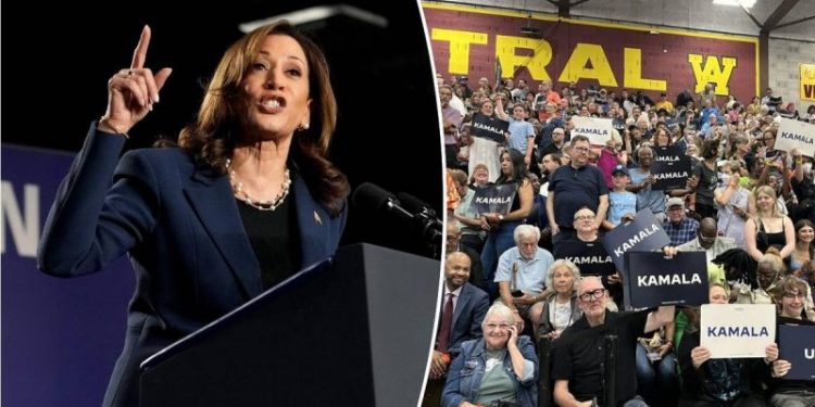 Dem voters at Milwaukee rally say they’re fired up for Harris: ‘United and energized’