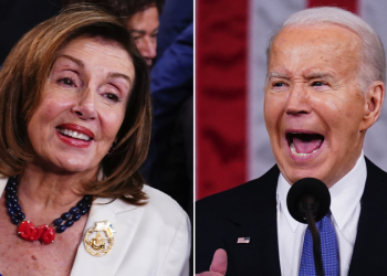 Democrats plot coup to ‘save democracy,’ but what happens if they fail?