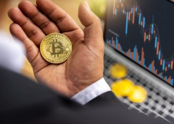 The price of Bitcoin rose to a new high this morning