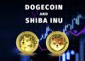 Dogecoin and the Shiba Inu: Dogecoin is recovering 