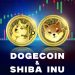 Dogecoin and Shiba Inu continue to descend to new lows