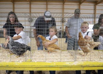 In red district Walz once held, a stark urban-rural divide over his record