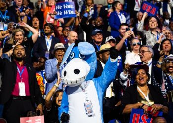 The Democratic Party looks more like America, and not just on TV