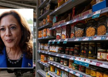 ‘Nail in the coffin’: Grocer turned House lawmaker trashes Kamala Harris’ price control plan