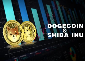 Dogecoin and Shiba Inu: Daily Targets and Prices