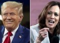 In hyperpartisan environment, MSNBC drawing fire for anti-Trump, pro-Harris programming