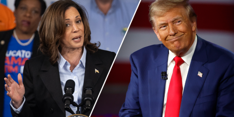 Voters report Kamala Harris is more radical than Trump: ‘too liberal or progressive’