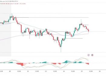 Bitcoin and Ethereum: continued bearish pressure on Friday