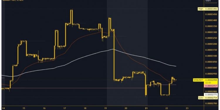 SafeMoon and Litecoin: New Targets and Support Levels