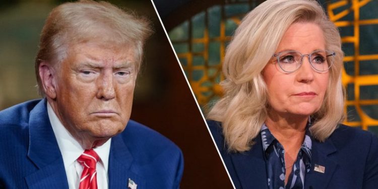 Liz Cheney bashes Trump in new key battleground Harris ad as election hits final sprint