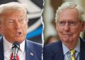 ‘Sleazeball’: McConnell’s 2020 thoughts on Trump revealed in new book