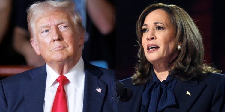 Trio of new polls agree on where Trump and Harris stand with 3 weeks to go until Election Day
