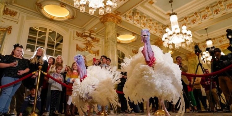 PETA protests Biden turkey pardon with ‘Hell on Wheels’ display, subliminal messaging to make people go vegan
