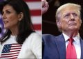 Nikki Haley responds after Trump says she won’t be part of new cabinet, says she wishes him ‘great success’