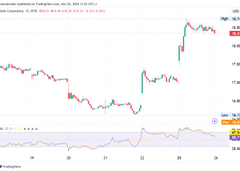 Kohl’s Shares Plunge 11%