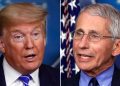 Fauci ripped over new paper criticizing Trump on coronavirus, promoting natural origin theory: ‘Embarrassment’