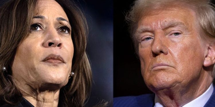 Trump’s ‘they/them’ ads combined culture war, economic worries to make effective pitch: expert