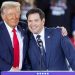 Trump nominates Marco Rubio to serve as Secretary of State