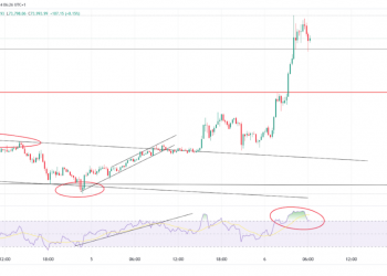 Bitcoin & Ethereum Rally: Will Gains Hold Amid US Election?