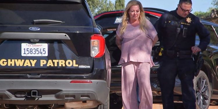 Retail crime ‘queenpin’ to pay millions in restitution to retailers for theft ring