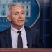 Trump revokes security detail for Fauci