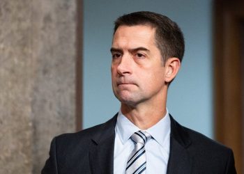 MAGA loyalists take aim at GOP senator as key Trump defense post sparks controversy: ‘Why the opposition?’