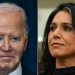 Gabbard says Biden admin ignored ‘highly inappropriate’ chats happening at national security agencies