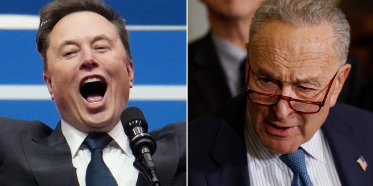 Elon Musk dunks on Sen Chuck Schumer, declaring ‘Hysterical reactions’ demonstrate DOGE’s importance
