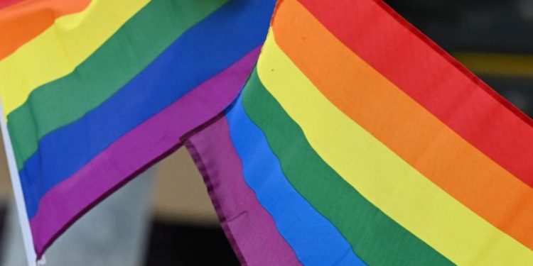 LGBT Americans reach record number, more likely to be Dems, Gen Z: Gallup poll