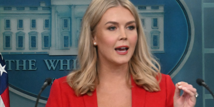 White House confirms who was appointed as acting administrator of DOGE