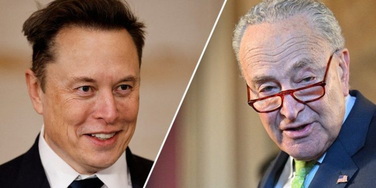 Schumer reveals Dem counter-offensive against Trump’s DOGE audit