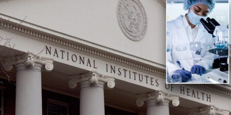 Judge blocks Trump order limiting ‘indirect’ NIH research costs after public outcry