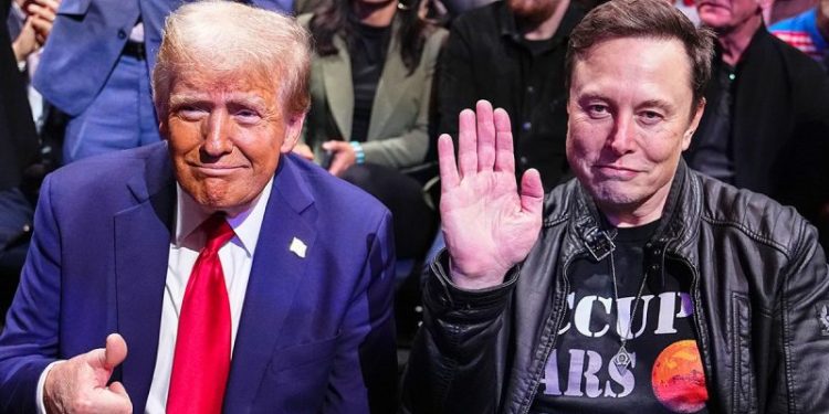 DOGE Wars: Ruling expected as states seek restraining order against Musk, Trump quest to slash bureaucracy