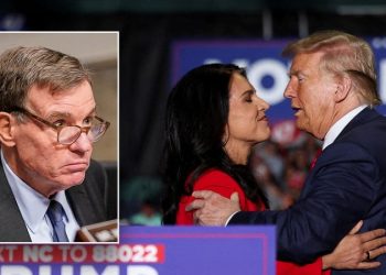 Trump lands key Tulsi Gabbard confirmation following uphill Senate battle