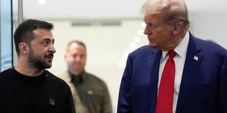 Waltz says Ukraine should ‘tone down’ criticism of Trump