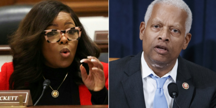 House Dems suggest Trump is trying to bring back slavery in racially charged livestream: ‘Back to the fields’