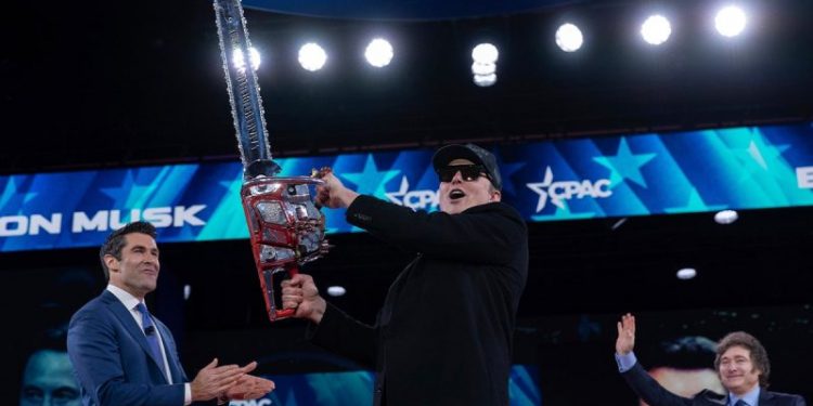 Americans want smaller government but new polls shows whether they like how Musk, DOGE, are going about it