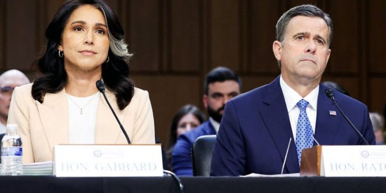 Dem senator calls for Waltz, Hegseth to resign as Gabbard says no classified material shared in Signal