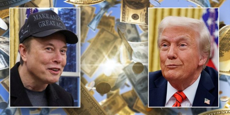 Trump allies mount campaign to get DOGE codified by Congress