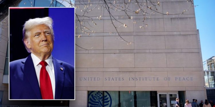 Judge denies embattled government-funded agency’s restraining order request against DOGE