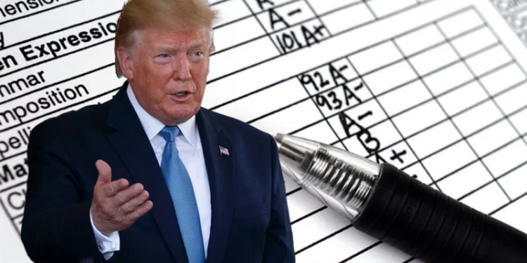 Trump report card: Conservative and liberal analysts reveal their grades for president on top issues