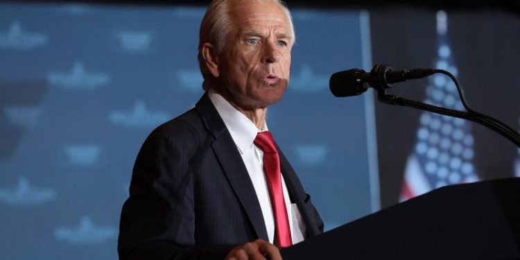 Musk spars with White House trade advisor Peter Navarro: ‘Dumber than a sack of bricks’